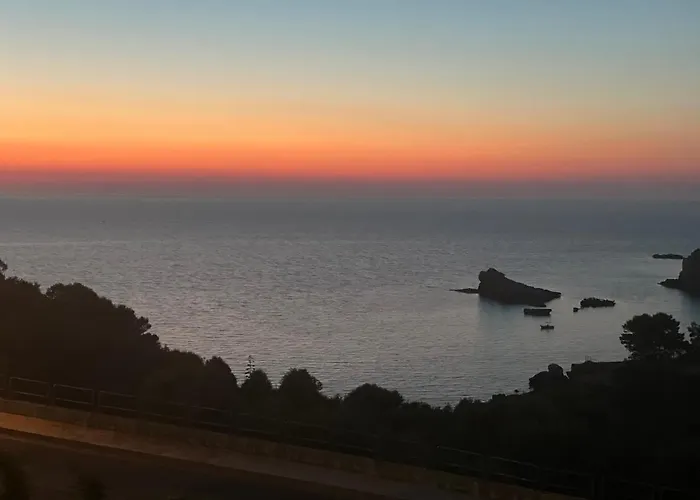 Cocciu D'Amuri